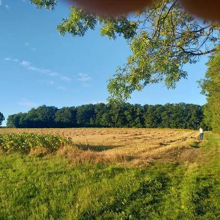 Haus Ringgau - Urlaub, Gemeinschaft Und Erlebnis Im Herzen Von Deutschland Herleshausen