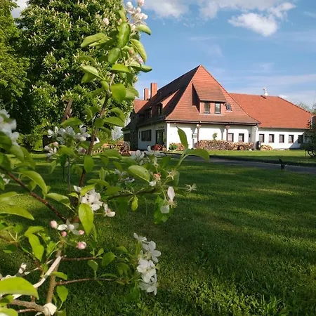 Haus Ringgau - Urlaub, Gemeinschaft Und Erlebnis Im Herzen Von Deutschland *