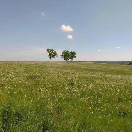 Haus Ringgau - Urlaub, Gemeinschaft Und Erlebnis Im Herzen Von Deutschland