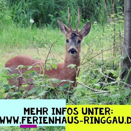 Apartmán Haus Ringgau - Urlaub, Gemeinschaft Und Erlebnis Im Herzen Von Deutschland