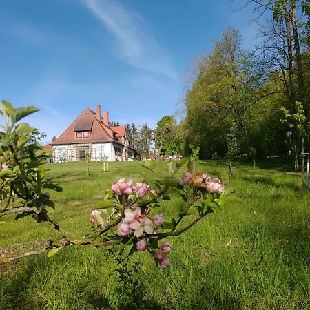 Haus Ringgau - Urlaub, Gemeinschaft Und Erlebnis Im Herzen Von Deutschland Appartement