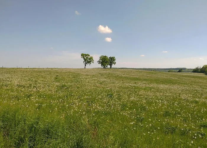 Haus Ringgau - Urlaub, Gemeinschaft Und Erlebnis Im Herzen Von Deutschland