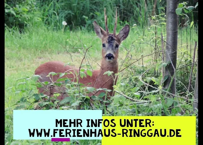 Διαμέρισμα Haus Ringgau - Urlaub, Gemeinschaft Und Erlebnis Im Herzen Von Deutschland