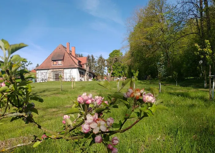 Haus Ringgau - Urlaub, Gemeinschaft Und Erlebnis Im Herzen Von Deutschland Διαμέρισμα